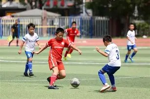 独门秘籍,期大乐透中,奖秘籍揭晓,广东体彩,广东体彩网,广东体彩网官网,体育彩票,体彩大乐透,竞彩足球,体彩公益