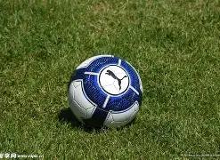 双色球秘籍,期必中攻略,红球,广东体彩,广东体彩网,广东体彩网官网,体育彩票,体彩大乐透,竞彩足球,体彩公益